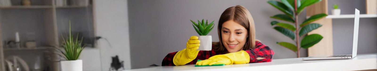 Pulizie di Primavera - Igiene Professionale Rossetto