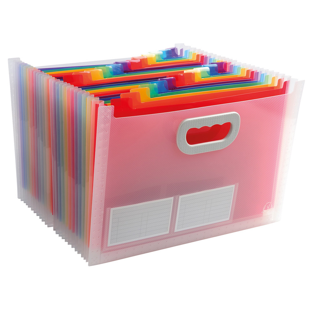 CLASSIFICATORE A VALIGETTA DA 24 SCOMP.33X25,5 CRY