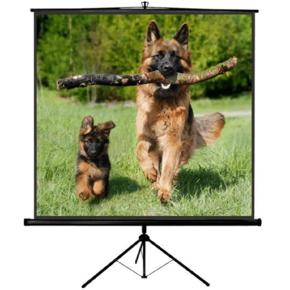 TELO PER VIDEOPROIETTORE SOPAR 180X180 A CAVAL. MA