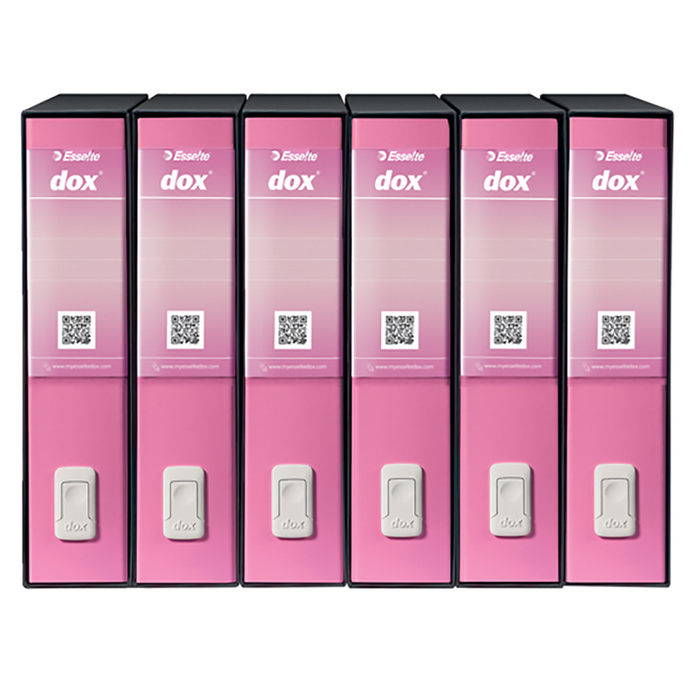 RACCOGLITORE ESSELTE DOX2S.FRANCISCO PROTOCOLLO DSO 8CM