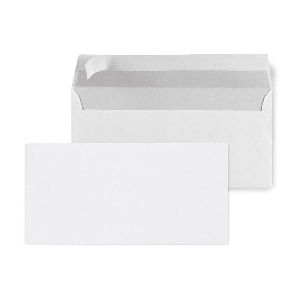 BUSTA SENZA FIN. C/STRIP INTERN.23X11CM CF40PZ 80GR